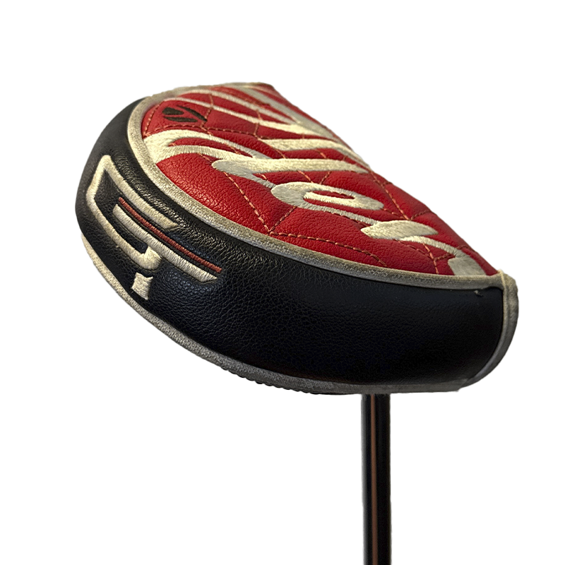 TaylorMade Spider GT Rollback Putter