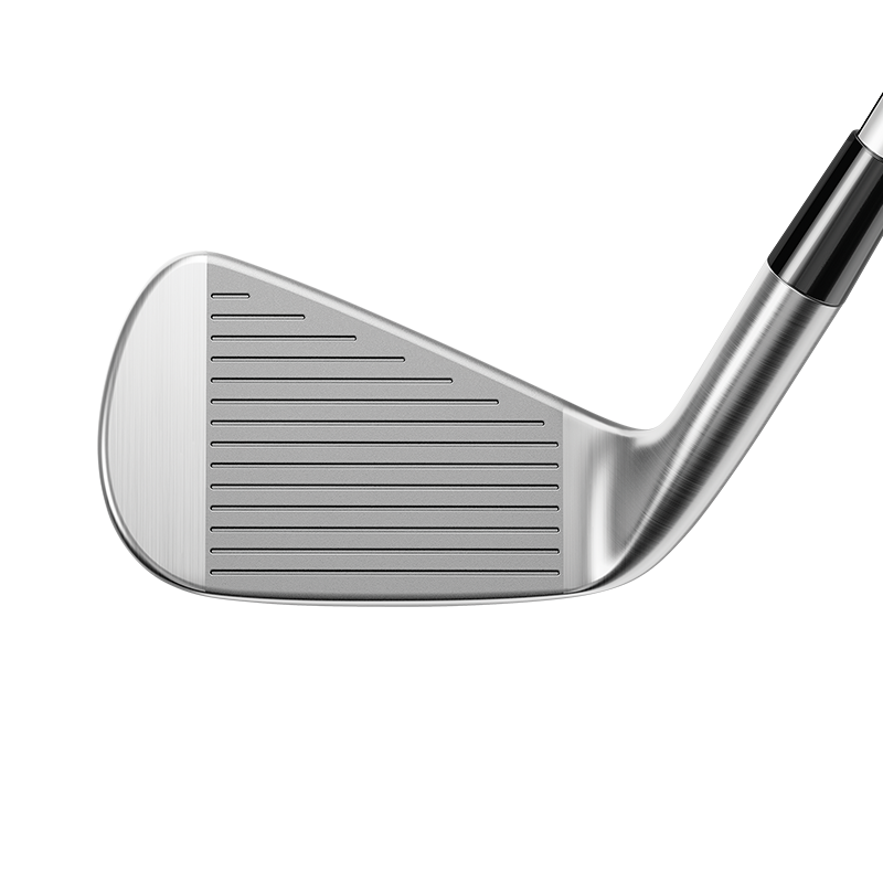 TaylorMade P790 Irons