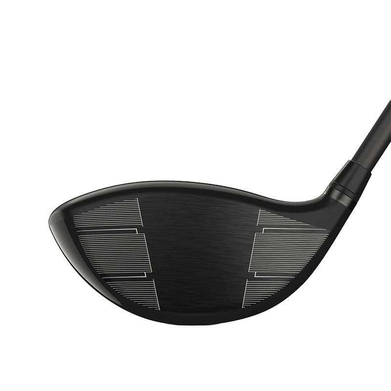 Wilson Dynapower Carbon Driver